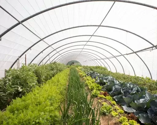 TELA PROSOLARIA / MALLA AGRÍCOLA